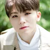 Kecocokan Cewek Virgo dan Woozi SEVENTEEN