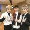 EXO CBX 