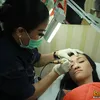 Felly Chibi