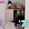 rumah chungha