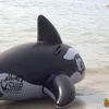 It\&#039;s The Ship