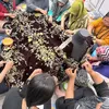 Ivan Gunawan tunjukkan pembuatan gaun