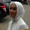 iis dahlia