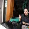 iis sugianto