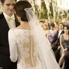 Twilight Saga