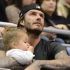 David Beckham - Harper Seven Beckham
