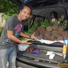 Ipang BIP