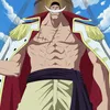 Bounty Bajak Laut One Piece