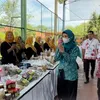 Artis Seleb PKK