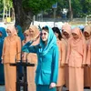 arumi bachsin