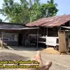 sridevi, sridevi da 5, rumah sridevi