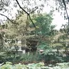 rumah Irish Bella dan Ammar Zoni