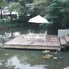 rumah Irish Bella dan Ammar Zoni