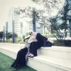 Laudya Cynthia Bella