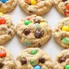 anjing lucu