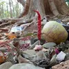 tanda-tanda kehadiran hantu
