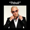 Pitbull