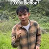 Jerhemy Owen Menebang Sawit Ilegal