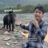 Jerhemy Owen Melihat Gajah