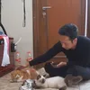Selebriti Indonesia Pelihara Kucing