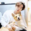 exo bts