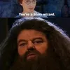 Jokes Harry Potter