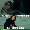 Jokes Harry Potter