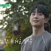 Perjalanan Karier Jung Hae In