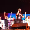 java rockin land