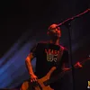 java rockin land