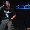 Java Rockin Land