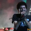 java rockin land 2011