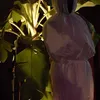 pocong 2