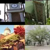 kampus lokasi drama