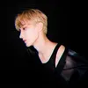 Kecocokan Cewek Gemini dan DK SEVENTEEN