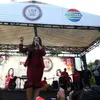 Demam LIDA 2019