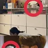 Potret J-Hope BTS Dikabarkan Ada Hubungan Spesial dengan Irene Kim