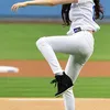 Artis Korea Baseball