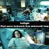 bloopers, kesalahan ilm, movie mistakes, twilight