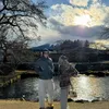 Fuji ke Gunung Fuji Jepang