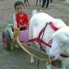 Masa Kecil Diksa Naja Putra Bungsu Soimah