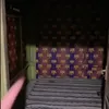 rumah masa kecil imel pc