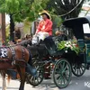 Jokowi Mantu - Pernikahan Kahiyang Bobby