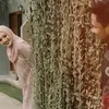 Nafha Firah