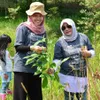 Rosita Istiawan sosok di balik Hutan Organik Megamendung