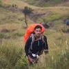 berita hamish daud, kabar hamish daud