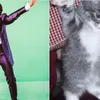Ranveer Singh