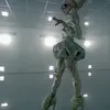 Koleksi Sepatu Lady Gaga