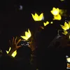 Big Bang
