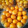 kue lebaran